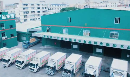 超市惊现老鼠啃食肉糜事件警示 企业食品安全管理与室内环境治理的双重防线