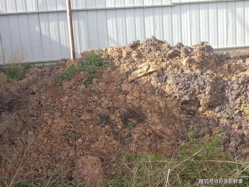 滑县小铺乡大武庄照喜新型墙体材料厂污染环境，室内环境亟待治理
